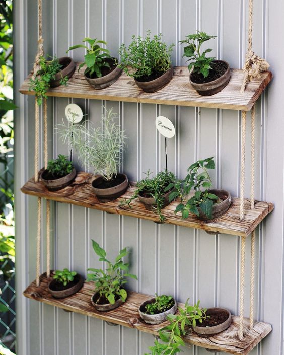 a hanging stained wooden shelf with planters and herbs is a cool way to get some herbs without sacrificing your space