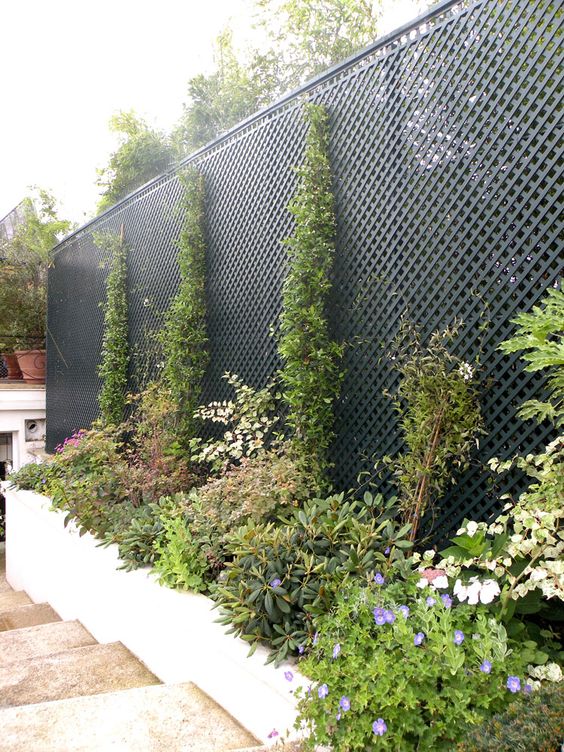 a large black trellis covered with some greenery is a stylish modern decoration for a garden or an outdoor space