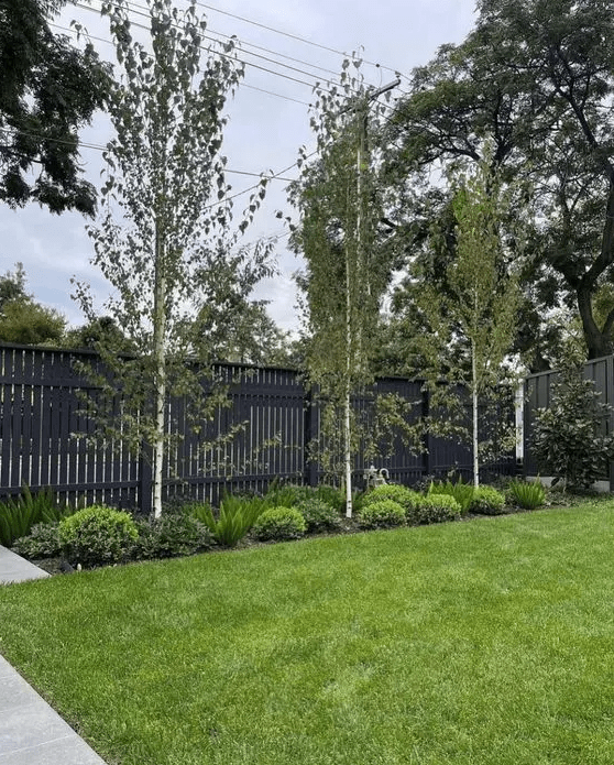 a lovely outdoor space with a black fence, a garden bed with greenery and trees plus a green lawn is fresh and cool