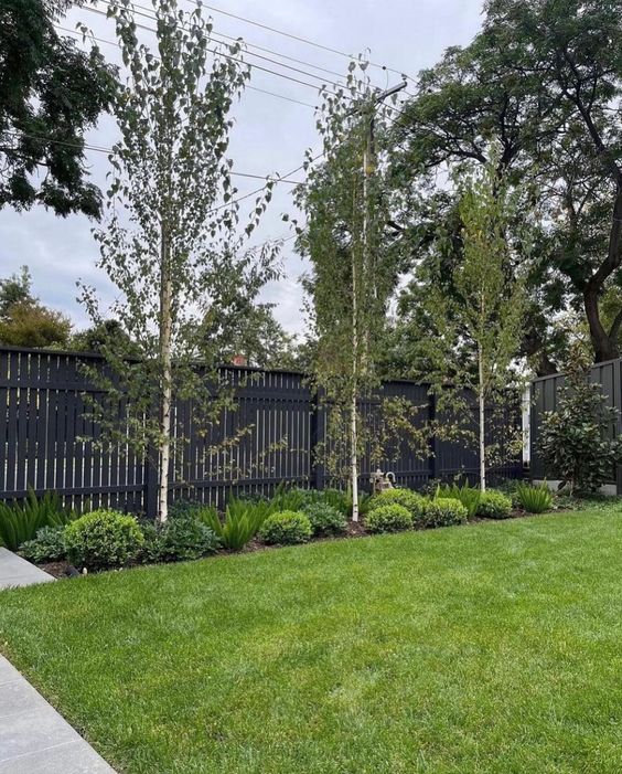 a lovely outdoor space with a black fence, a garden bed with greenery and trees plus a green lawn is fresh and cool