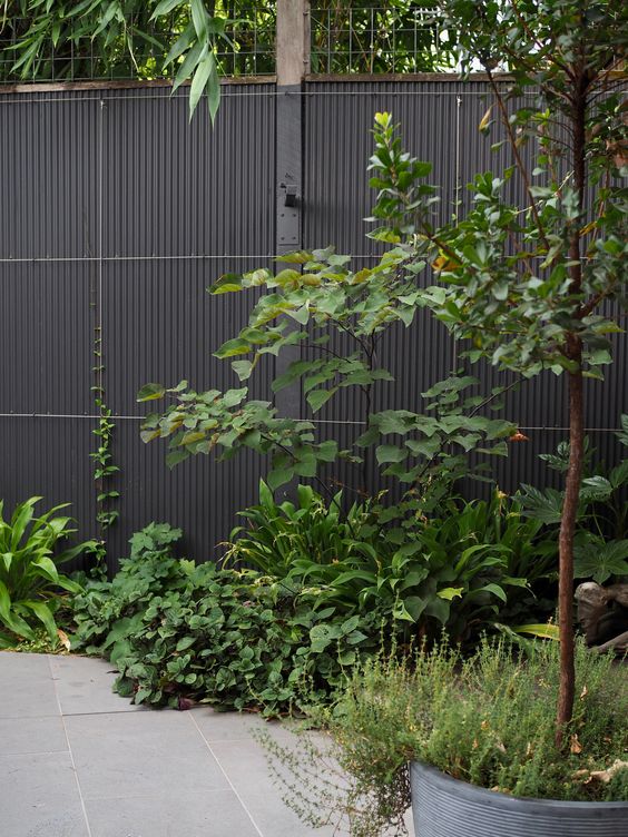 a metal black fence with greenery along it and potted greenery that refreshes the look of the black fence