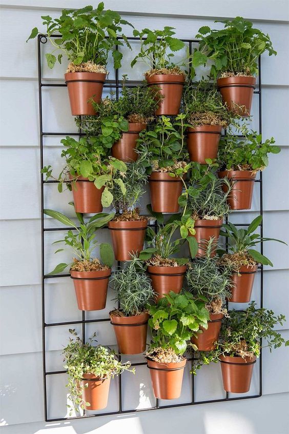 a metal grid with planter holders and some matching pots with herbs is a cool solution that will suit even the tiniest balcony as you attach it to the wall
