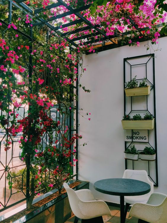 a metal trellis that is covered with greenery and pink blooms doubles as a roof and privacy screen and looks amazing