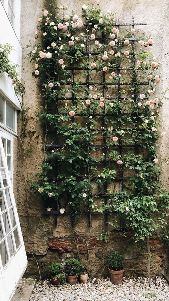 a metal wall trellis covered with greenery and pink blooms will instantly make a blank outdoor wall more refined, chic and sophisticated