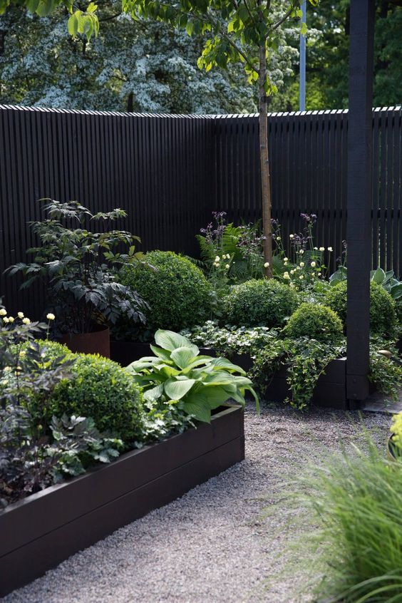 a modern black fence and raised garden beds with various greenery and herbs, with blooms that refresh the moody look of the black fence