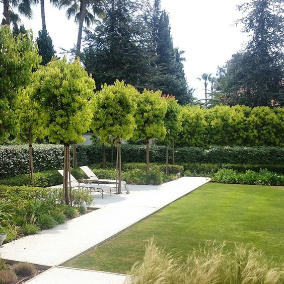 a modern garden with a green lawn, shrubs and trees and some daybeds plus grasses is a cool idea