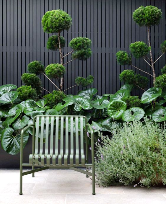 a modern tall black fence with topiaries, greenery and large foliage is a super chic modern solution, great for many gardens