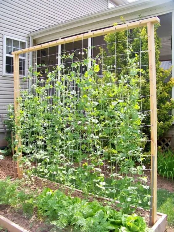 a planter with a tall wooden trellis and some blooms and greenery is a cool rustic or farmhouse decoration for a farmhouse garden