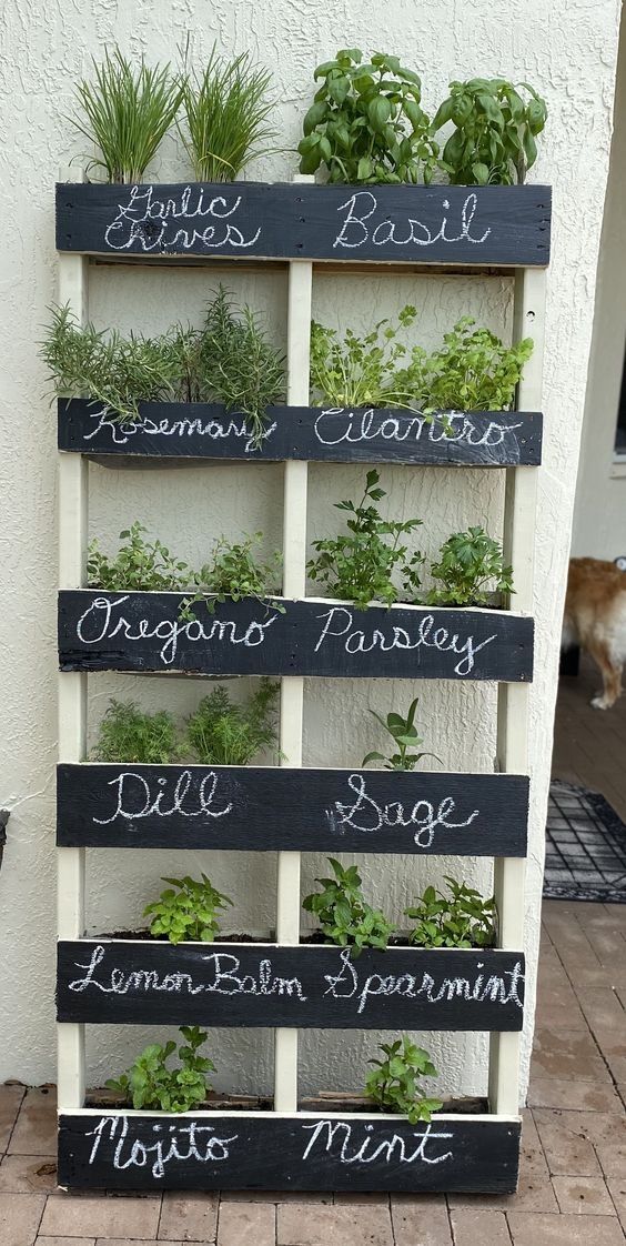 a simple and small vertical chalkboard garden with herbs and their names stated for more comfrotable using
