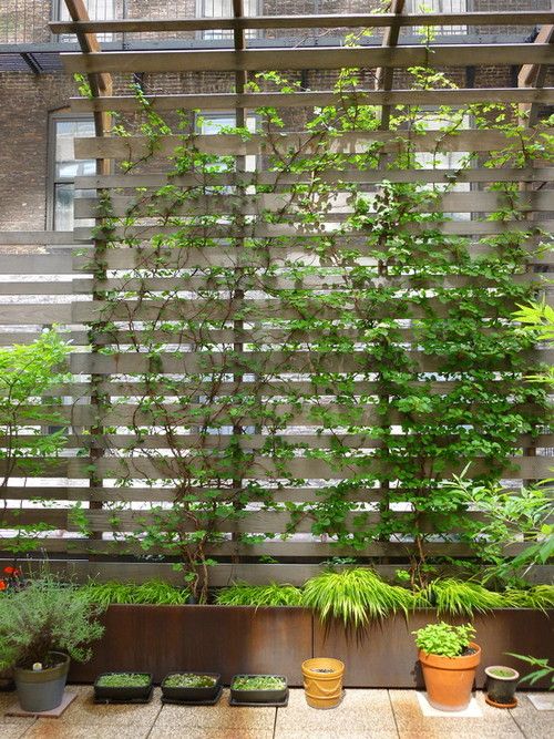 a simple wooden trellis covered with greenery doubles as a privacy screen, it's a cool idea for a modern rustic space