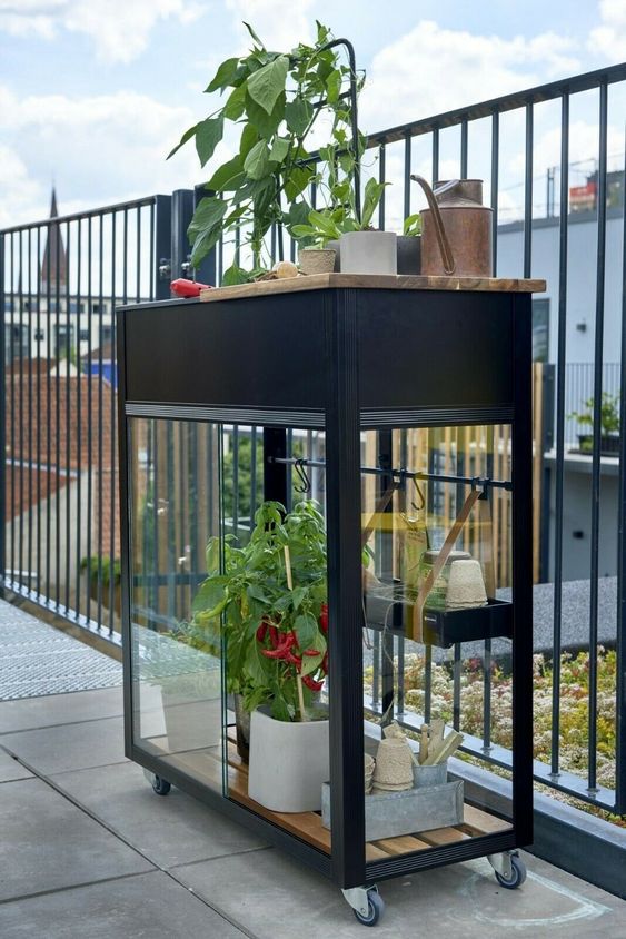 a small and cool glasshouse on casters is a cool solution if you like gardening but don't have a space for it