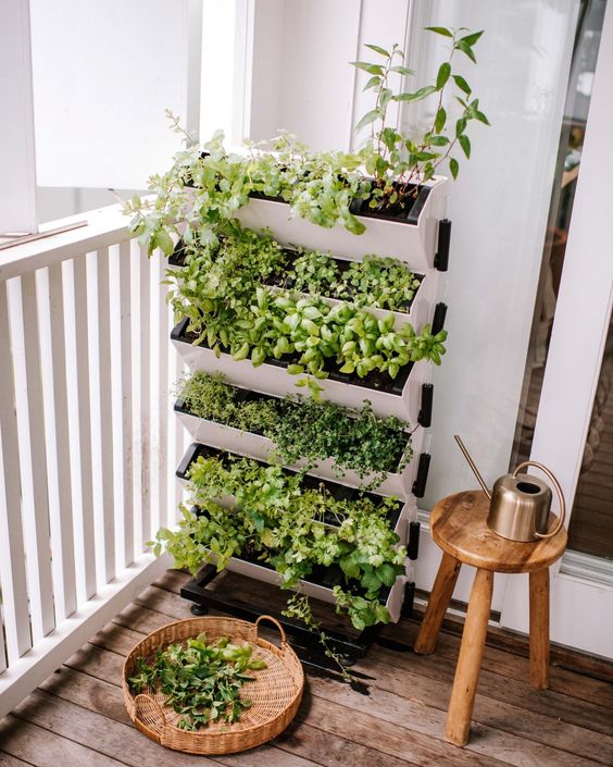 a small and stylish black and white vertical planter as a mini garden for outdoors, just plant some herbs that you want