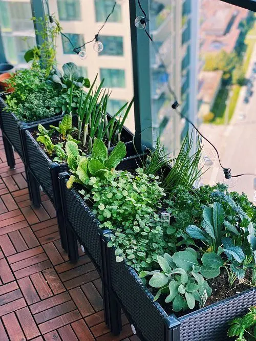 a small and stylish herb garden of black wicker planters on tall legs is a cool solution for a Scandinavian or modern balcony