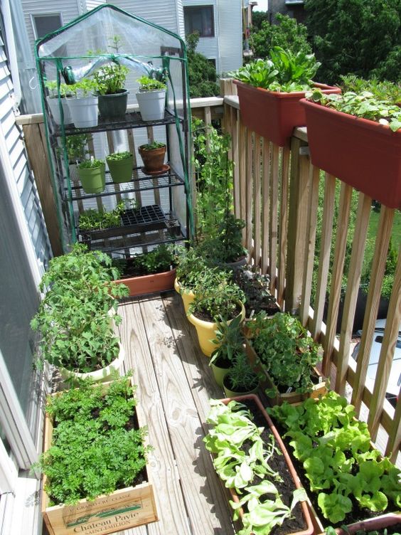 a small balcony garden with planters and boxes on the floor, a glasshouse with planters and some railing planters is cool