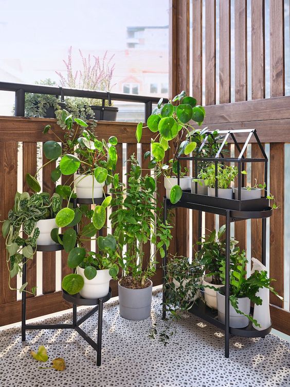 a small balcony with a pretty black stand with planters and herbs and a stand with usual plants is a lovely space with everything necessary