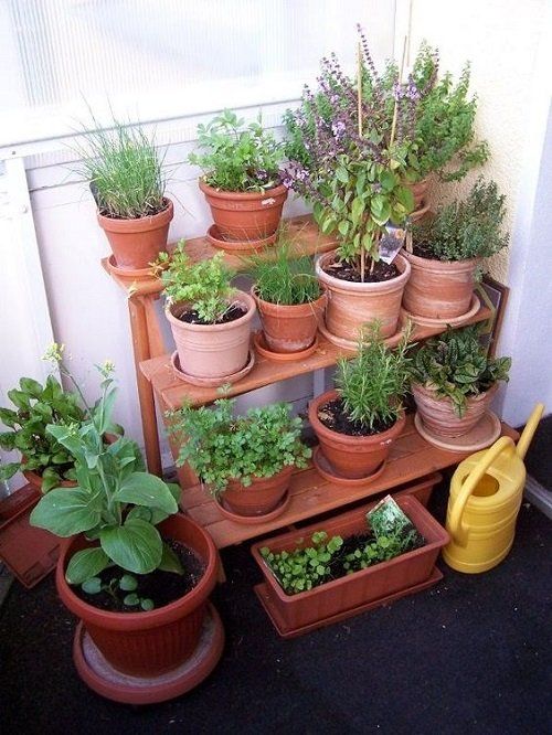 a small ladder shelf with some pots and herbs is a cool idea that will fit even the smallest balcony, and you will always have fresh herbs