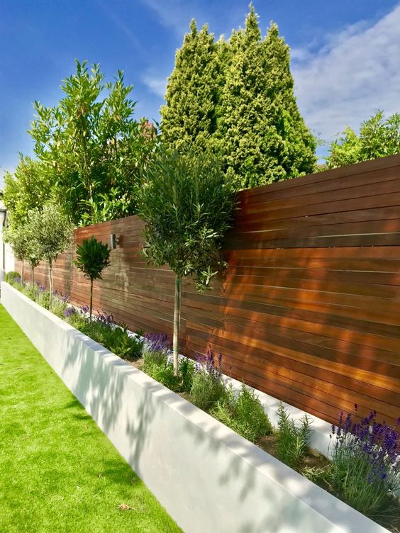 a stained fence with a raised garden bed with greenery, lavender and trees are a stylish combo for a modern garden