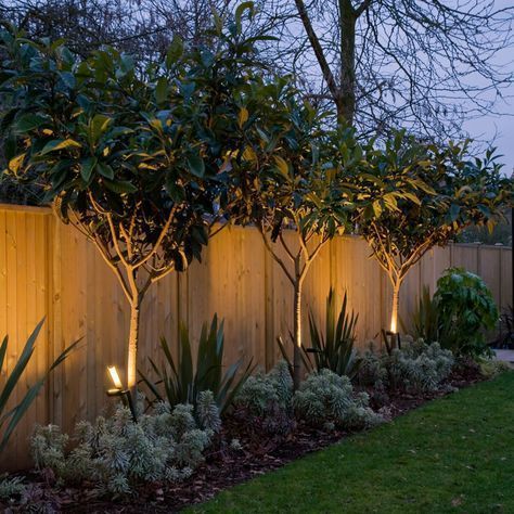a stained fence with trees, lights under the trees, succulents and agaves are a chic and cool combo for a modern space