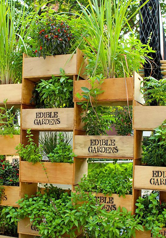 a stained vertical garden of matching parts with various herbs and greenery is a cool idea and a privacy screen alternative