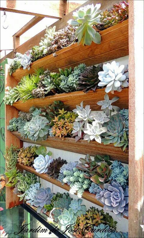 a stained vertical garden with lots of succulents is a cool solution for many outdoor spaces with a relaxed vibe