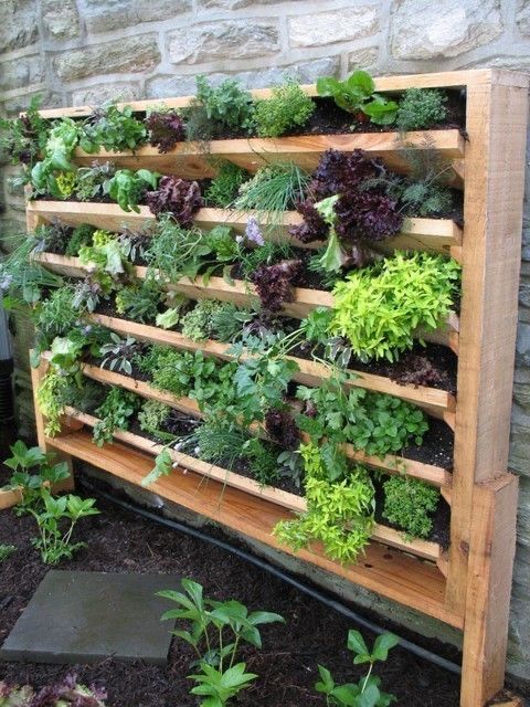 a stained vertical garden with various kinds of herbs is a cool idea for a garden or a balcony, if you want fresh herbs
