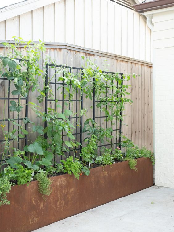 a tall metal planter with black metal trellises and some greenery are a great way to refresh a rustic outdoor space