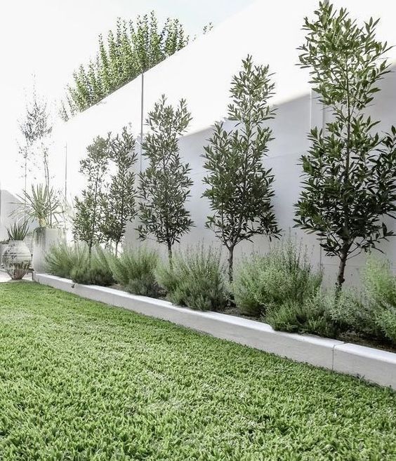 a tall white fence with a raised garden bed, shrubs and trees are a stylish and chic combo for a modern outdoor space