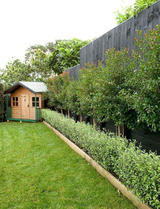 A tall wooden fence with greenery and trees along it are a cool and ultra modern idea for a garden or a backyard