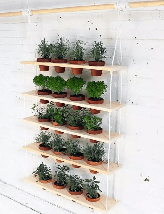 a tiered vertical garden with terracotta planters is a lovely idea for a rustic space or a modern one, will fit any outdoor and indoor space