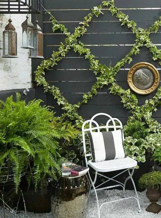 a trellis covering the fence and covered with greenery makes the space feel vivacious and fresh
