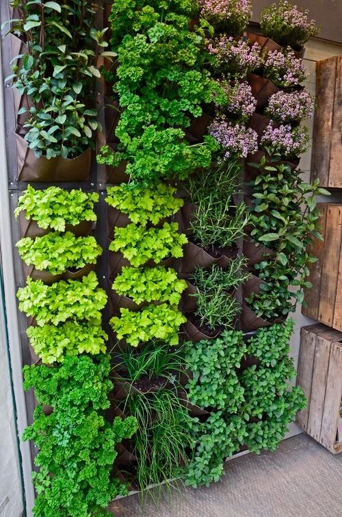 a vertical balcony garden of some pockets planters is a smart idea for a small space, and you can grow a lot of different stuff there