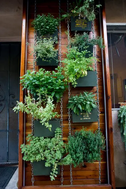 a vertical garden hanging on chains, with matching dark green planters and greenery is a cool and catchy idea for a modern space