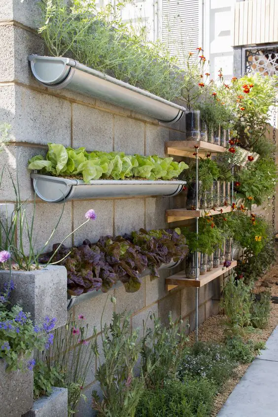 a vertical garden of pipe planters and some shelves with planters is a smart solution if you need a herb and veggie garden