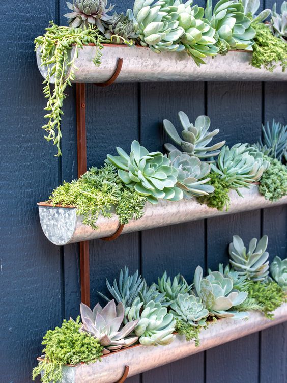 a vertical garden with metal covered PVC pipes plus succulents is a very creative and bold idea for a modern or rustic space