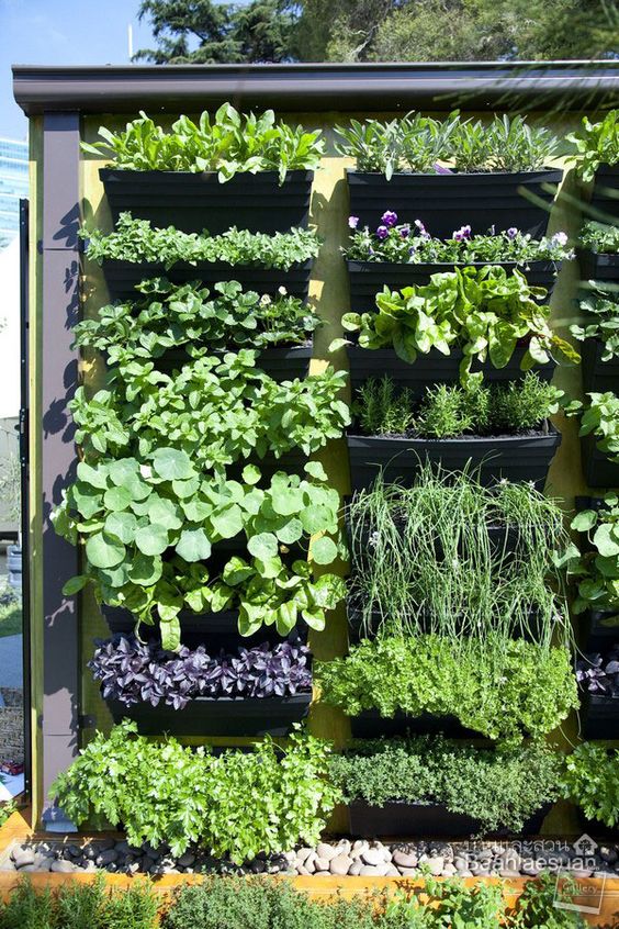 a vertical garden with multiple black planters with various herbs  is a cool idea for many gardens and outdoor spaces