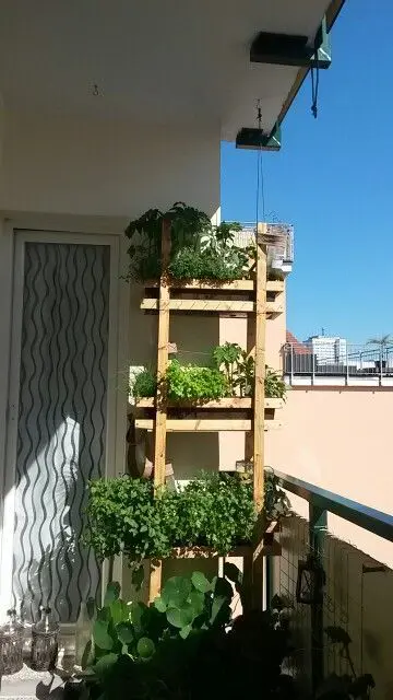 a vertical wooden garden with several shelves and some greenery is a cool way to get a garden without wasting floor space