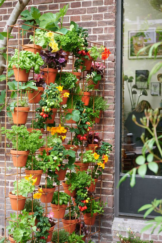 a wall-mounted metal shelf with planter holders and lots of matching pots with veggies and herbs is amazing for any balcony