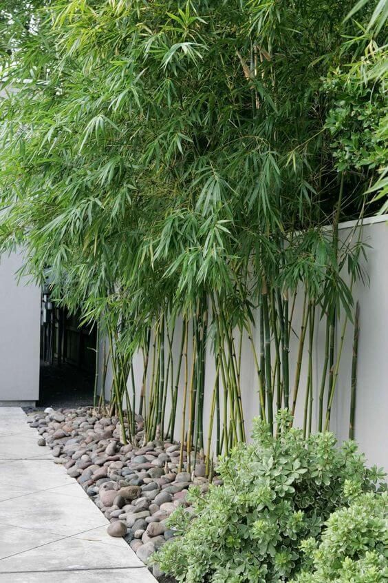 a white fence with bamboo and large  pebbles are a chic and modern combo for a modern garden or backyard