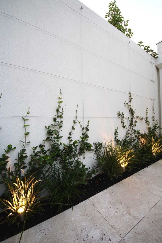 a white fence with vines, grasses and lamps are a chic modern combo, the vines will cover the whole wall