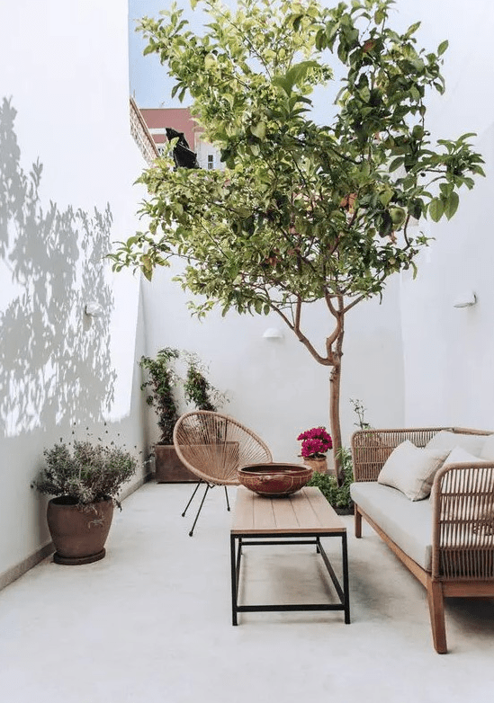 An all white patio with tall walls, some rattan furniture, a coffee table, a living tree, some potted greenery and blooms