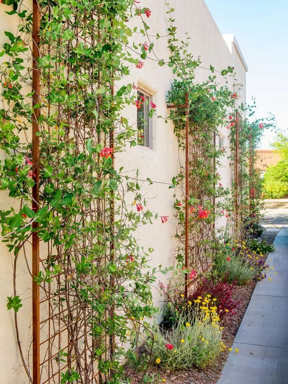 copper trellises with greenery and bright blooms are a great decoration for an outdoor space, they give interest and freshness to it