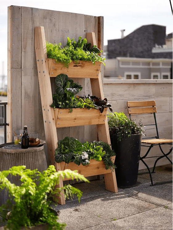 designed to resemble a rustic ladder, planting boxes are attached to a cedar frame