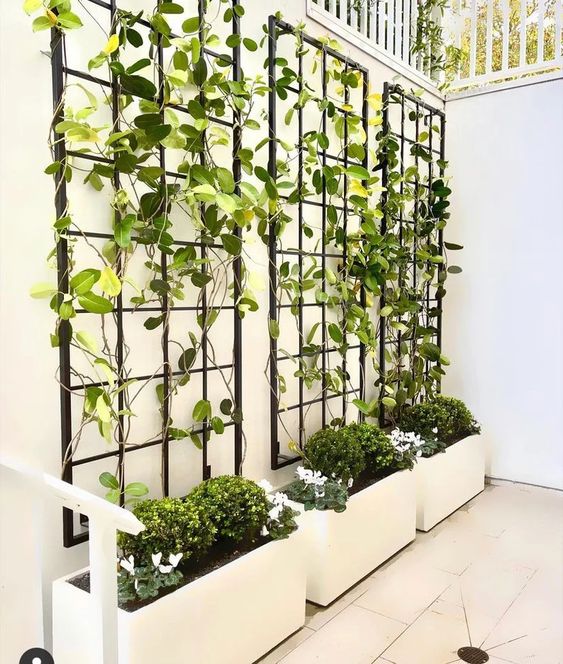 modern white planters with trellises and vines will instantly refresh and make cooler any space, they look stylish and cool