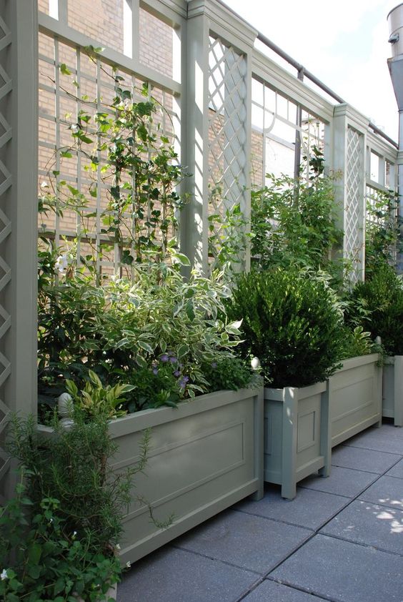 planters with trellises used as living fences, with los of various greenery are a great solution for styling your outdoor space