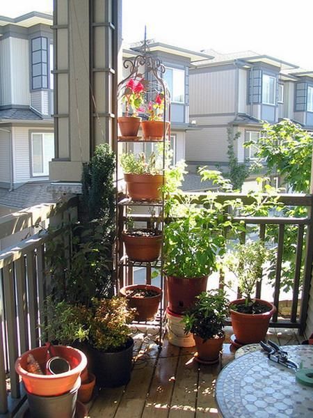 potted herbs and veggies on the floor and on a tall metal stand won’t take that much floor space