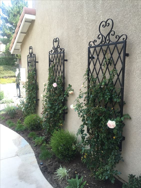refined black trellises attached to the wall, with greenery and blooms is a stylish and pretty idea for a refined and chic garden