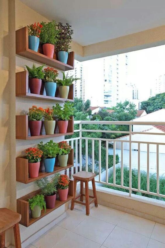 Wall mounted stained shelves with colorful planters won't take any floor space and will allow you creating any garden that you like