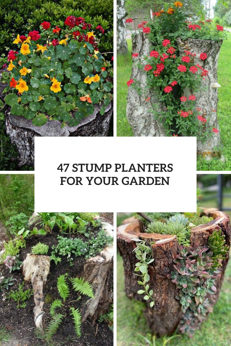 Stump Planters For Your Garden