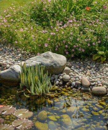 Graden Decor For Raining 30 Beautiful Rain Garden Design Ideas - DigsDigs