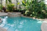 25 indoor plunge pool with greenery around
